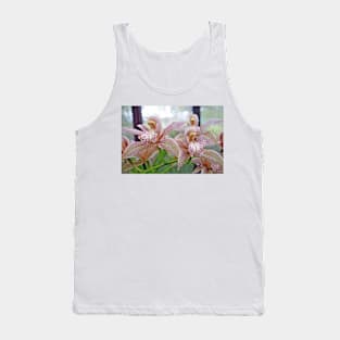 Kula Botanical Gardens Study 36 Tank Top